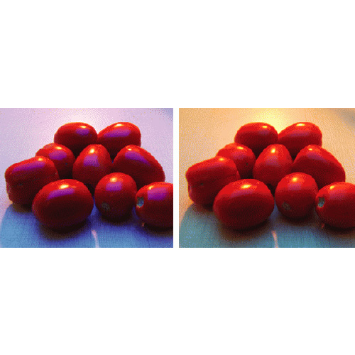 マシンビジョンフィルター