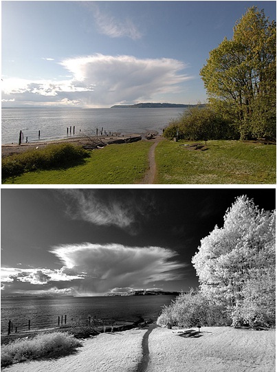 BP800: NIRバンドパス: 745-950nm透過