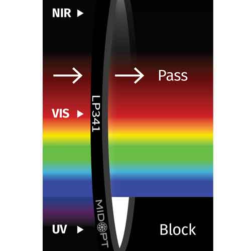 LP341: ガラス製疎油性VIS ARコート付: 365-1100nm透過