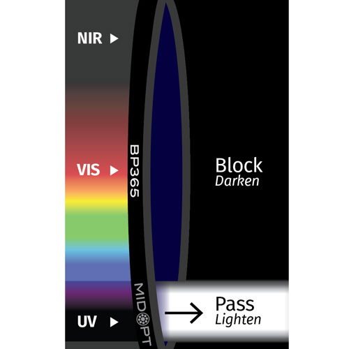 BP365: 近UVバンドパス: 335-400nm透過